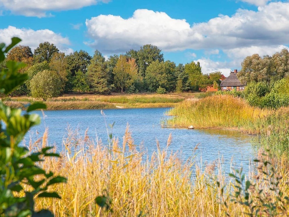 Oldenstädter See in Uelzen